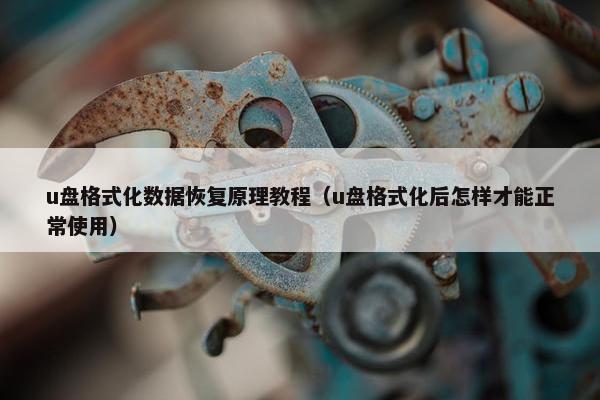 u盘格式化数据恢复原理教程（u盘格式化后怎样才能正常使用）