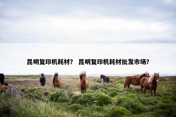昆明复印机耗材？ 昆明复印机耗材批发市场？