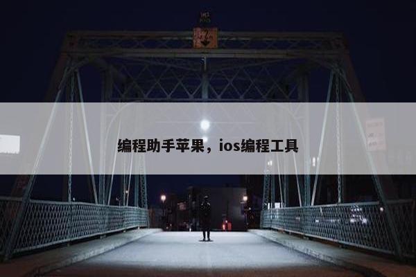 编程助手苹果，ios编程工具