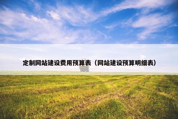 定制网站建设费用预算表（网站建设预算明细表）