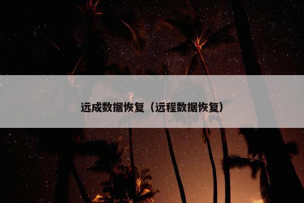 远成数据恢复（远程数据恢复）