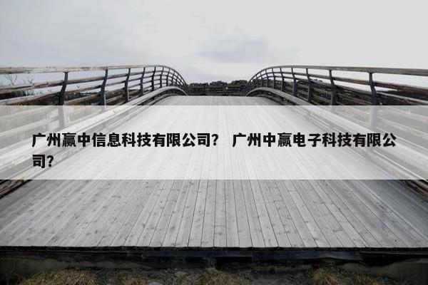 广州赢中信息科技有限公司？ 广州中赢电子科技有限公司？