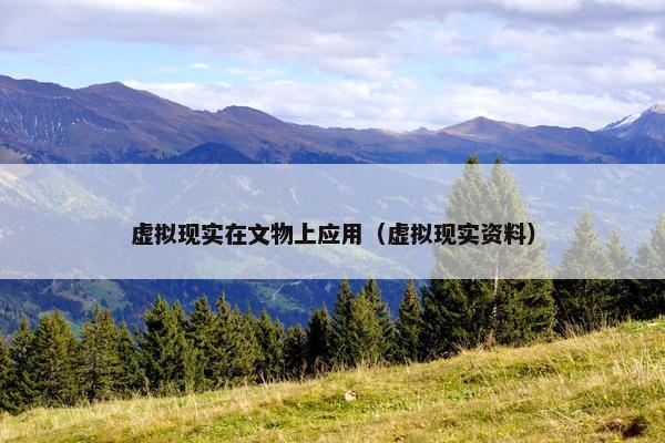 虚拟现实在文物上应用（虚拟现实资料）