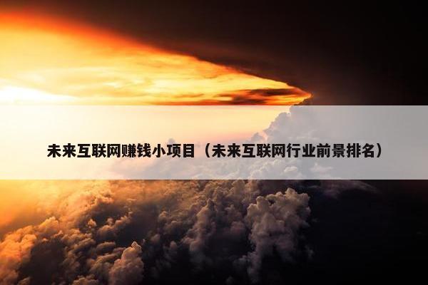 未来互联网赚钱小项目（未来互联网行业前景排名）