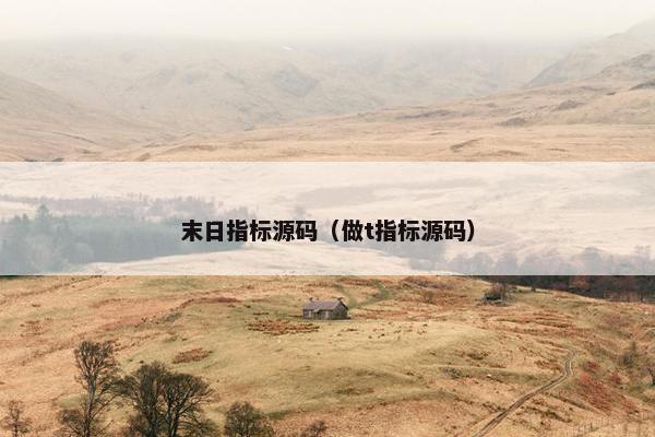 末日指标源码（做t指标源码）