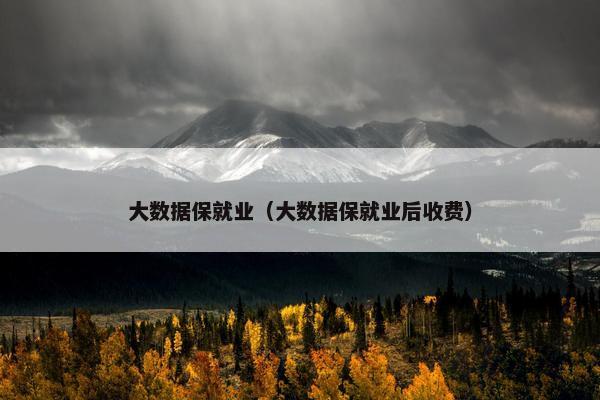 大数据保就业（大数据保就业后收费）