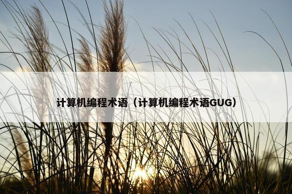 计算机编程术语（计算机编程术语GUG）