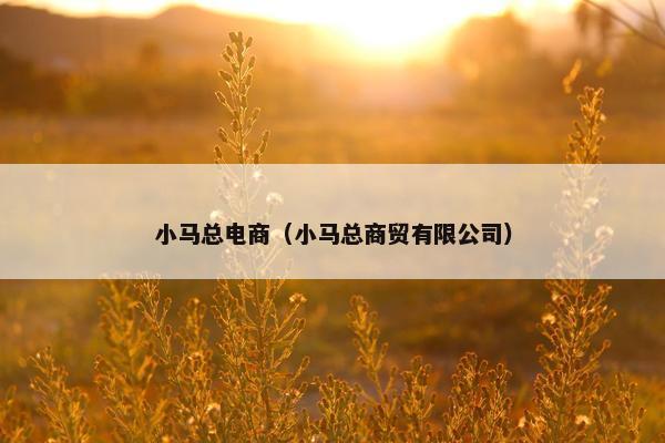 小马总电商（小马总商贸有限公司）
