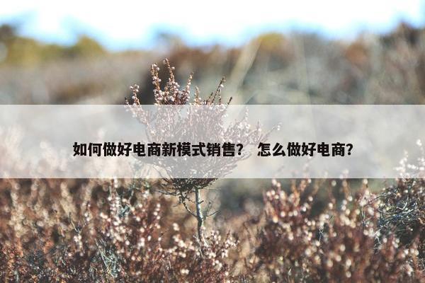 如何做好电商新模式销售？ 怎么做好电商？