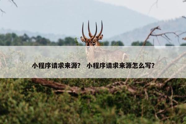 小程序请求来源？ 小程序请求来源怎么写？