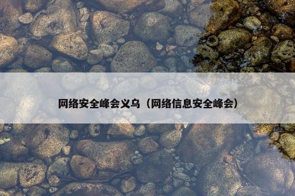 网络安全峰会义乌（网络信息安全峰会）