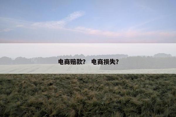 电商赔款？ 电商损失？