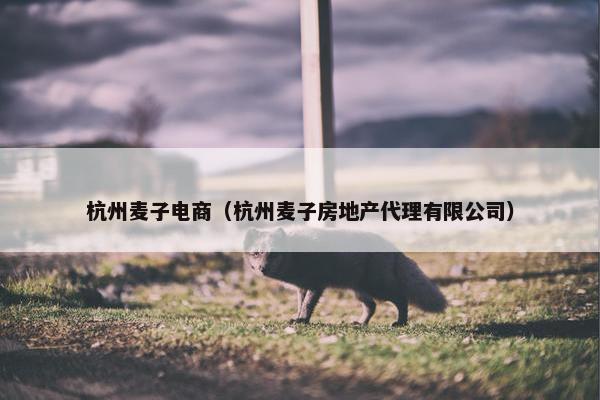 杭州麦子电商（杭州麦子房地产代理有限公司）