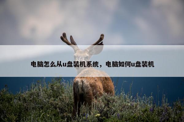 电脑怎么从u盘装机系统，电脑如何u盘装机
