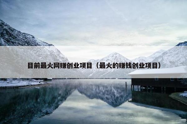 目前最火网赚创业项目（最火的赚钱创业项目）