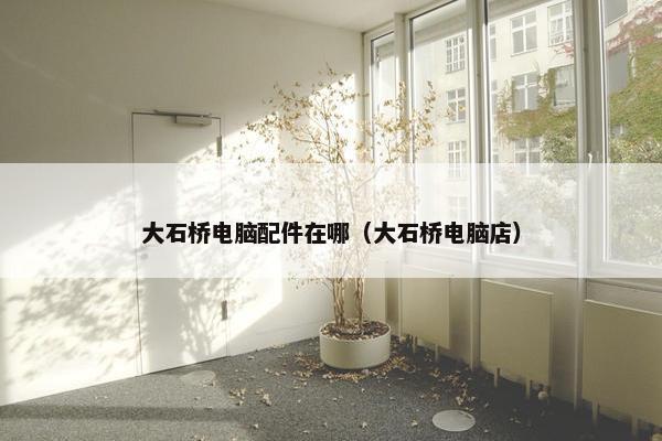 大石桥电脑配件在哪（大石桥电脑店）