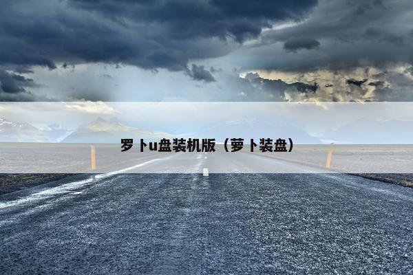 罗卜u盘装机版（萝卜装盘）