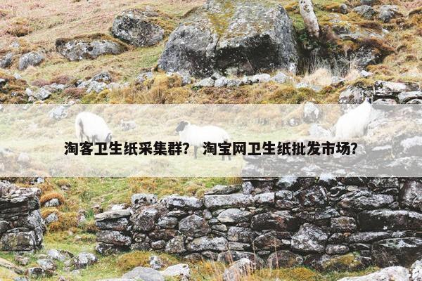 淘客卫生纸采集群？ 淘宝网卫生纸批发市场？