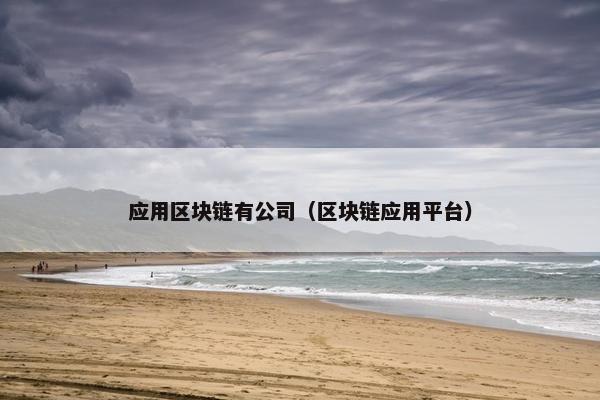 应用区块链有公司（区块链应用平台）