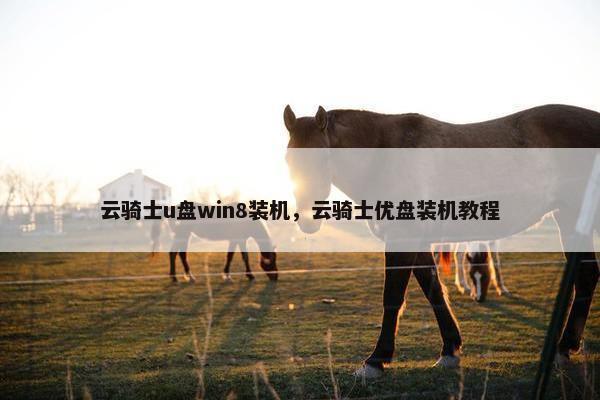 云骑士u盘win8装机，云骑士优盘装机教程