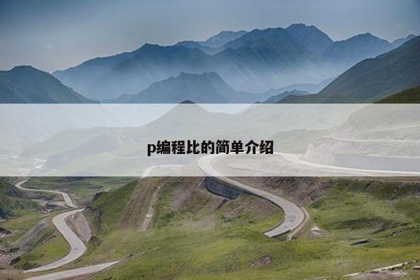p编程比的简单介绍