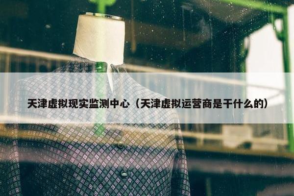 天津虚拟现实监测中心（天津虚拟运营商是干什么的）