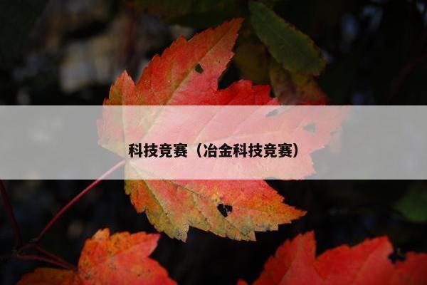 科技竞赛（冶金科技竞赛）