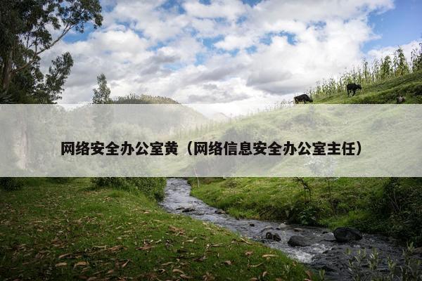 网络安全办公室黄（网络信息安全办公室主任）