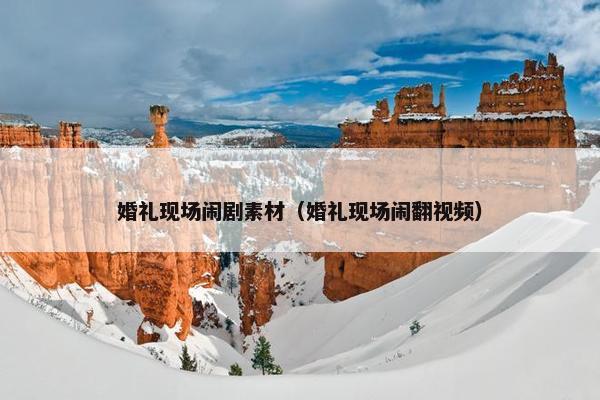 婚礼现场闹剧素材（婚礼现场闹翻视频）