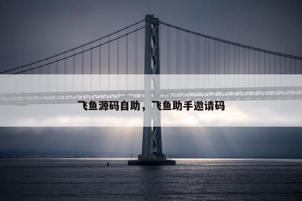 飞鱼源码自助，飞鱼助手邀请码