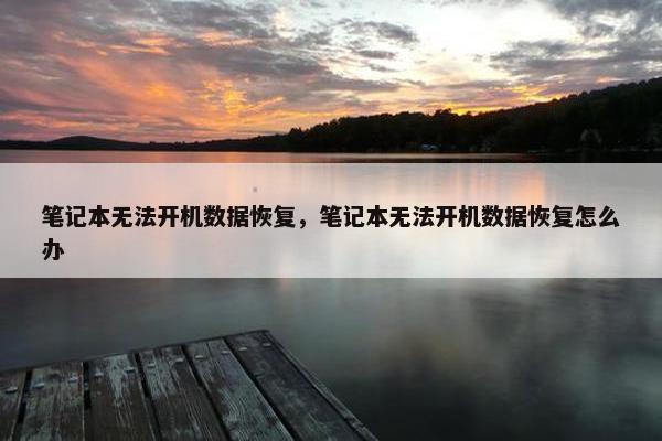 笔记本无法开机数据恢复，笔记本无法开机数据恢复怎么办