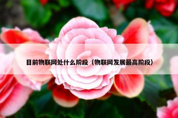 目前物联网处什么阶段（物联网发展最高阶段）