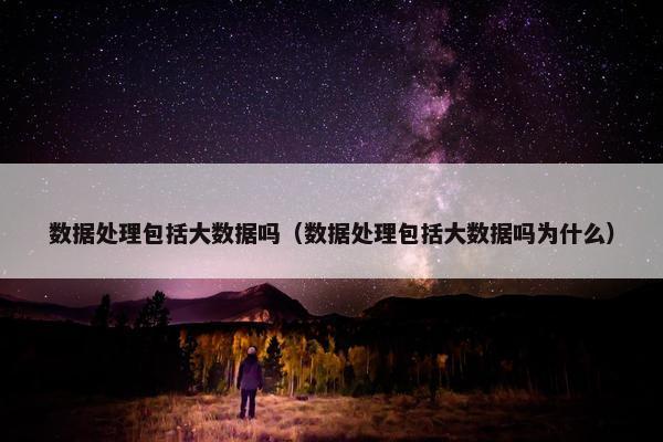 数据处理包括大数据吗（数据处理包括大数据吗为什么）