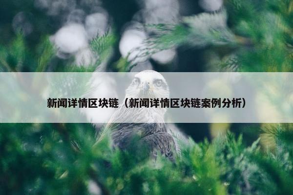 新闻详情区块链（新闻详情区块链案例分析）