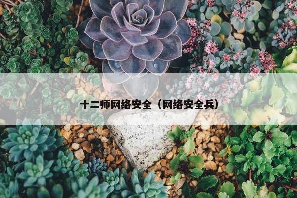 十二师网络安全（网络安全兵）