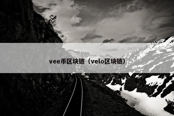 vee币区块链（velo区块链）