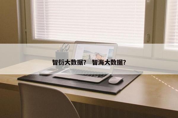 智衍大数据？ 智海大数据？