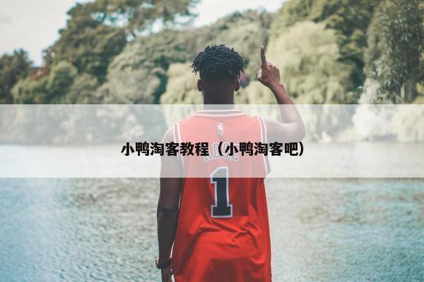 小鸭淘客教程（小鸭淘客吧）