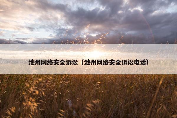 池州网络安全诉讼（池州网络安全诉讼电话）