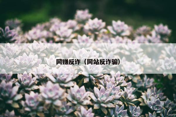 网赚反诈（网站反诈骗）
