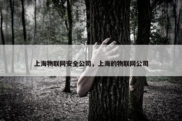 上海物联网安全公司，上海的物联网公司