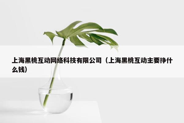 上海黑桃互动网络科技有限公司（上海黑桃互动主要挣什么钱）