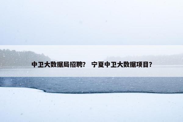 中卫大数据局招聘？ 宁夏中卫大数据项目？