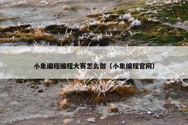 小象编程编程大赛怎么做（小象编程官网）