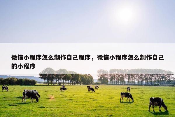 微信小程序怎么制作自己程序，微信小程序怎么制作自己的小程序
