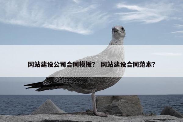 网站建设公司合同模板？ 网站建设合同范本？