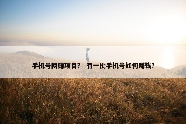 手机号网赚项目？ 有一批手机号如何赚钱？