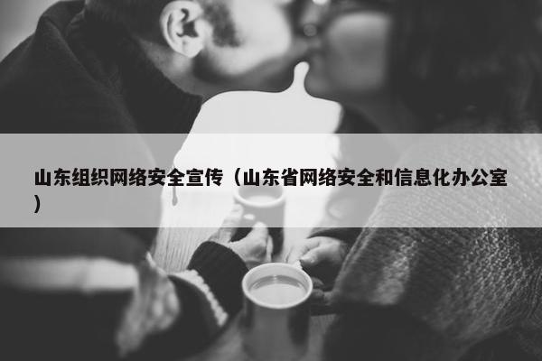 山东组织网络安全宣传（山东省网络安全和信息化办公室）
