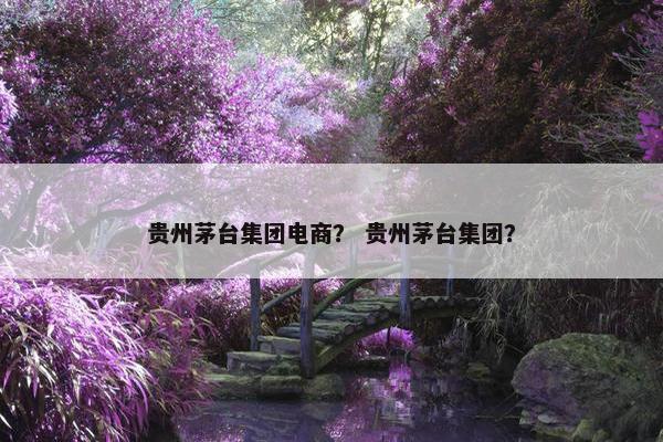 贵州茅台集团电商？ 贵州茅台集团？