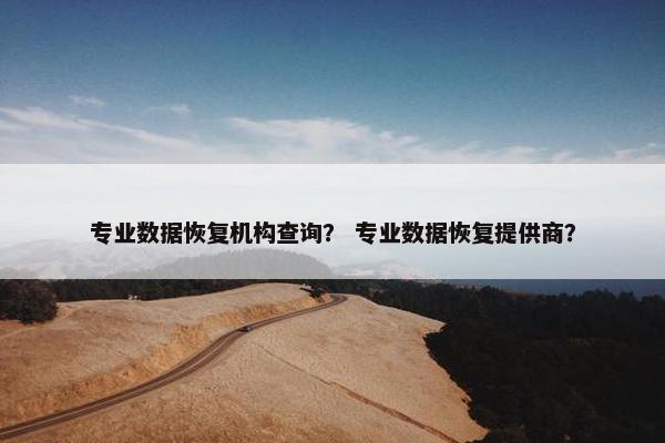 专业数据恢复机构查询？ 专业数据恢复提供商？